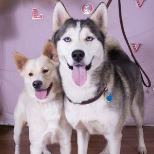 Meet your Posher, Kaitlin